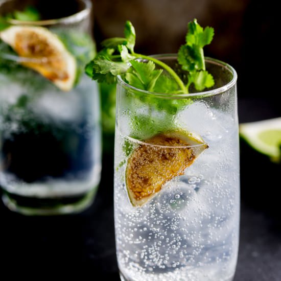 Lime Gin & Tonic with Fresh Coriander - Recipe photo by sprinkles and sprouts