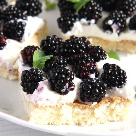 Easy Fresh Blackberry Cake - Recipe photo by adinutza