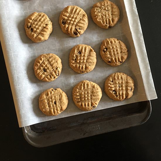 Low Carb Peanut Butter Chocolate Chip Cookie - Recipe photo by Resolution Eats