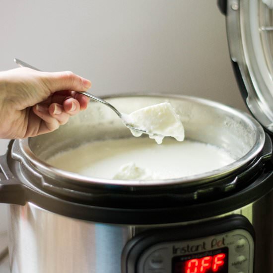 Make Yogurt In An Instant Pot - Recipe photo by thehayleyfiser
