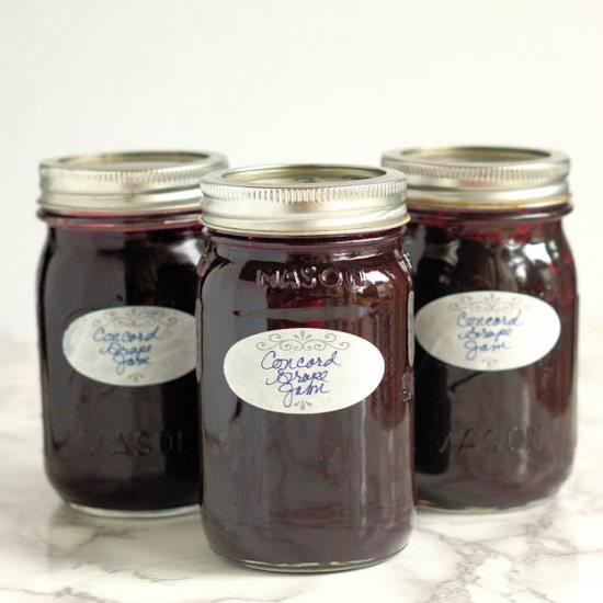 Concord Grape Jam with Vanilla - Recipe photo by eileen.baking-sense