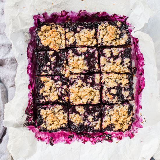 Healthier Blueberry Bars - Recipe photo by The Endless Meal