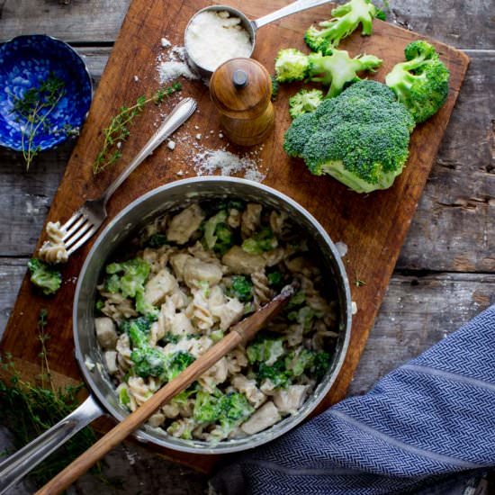 Light Chicken and Broccoli Alfredo - Recipe photo by healthy seasonal recipes
