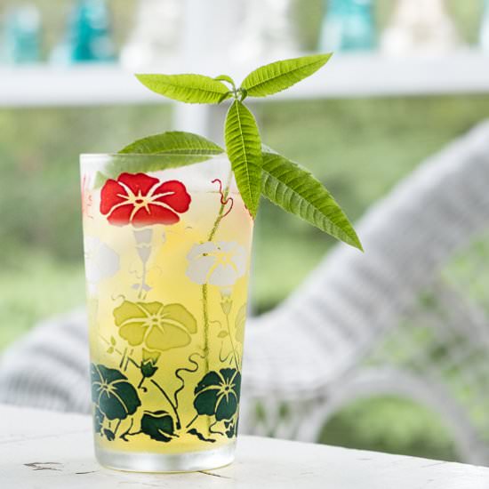 Cold Brew Green Tea - Recipe photo by sidewalkshoes