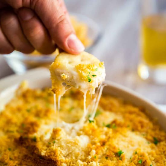 Chicken Swiss Dip - Recipe photo by Thelifejolie