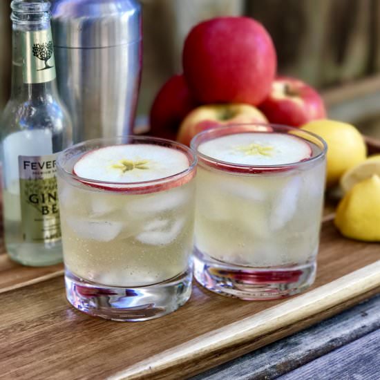 Apple Gin Fizz Cocktail - Recipe photo by simmerandsauce