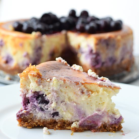 Gluten-Free Blueberry Cheesecake - Recipe photo by karlijn2