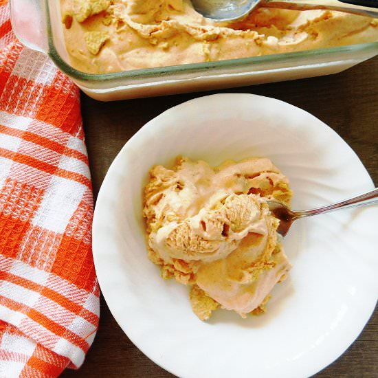 Pumpkin Pie Ice Cream - Recipe photo by Bottom Left of the Mitten