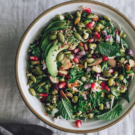 Mung Sprouts Detox Salad - Recipe photo by TheAwesomeGreen