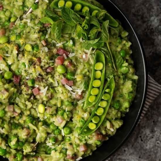 Pea Risotto with Mascarpone & Mint - Recipe photo by platingsandpairings
