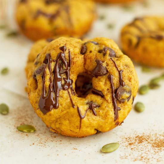 Chocolate Chips Pumpkin Spice Donut - Recipe photo by ilonaspassion