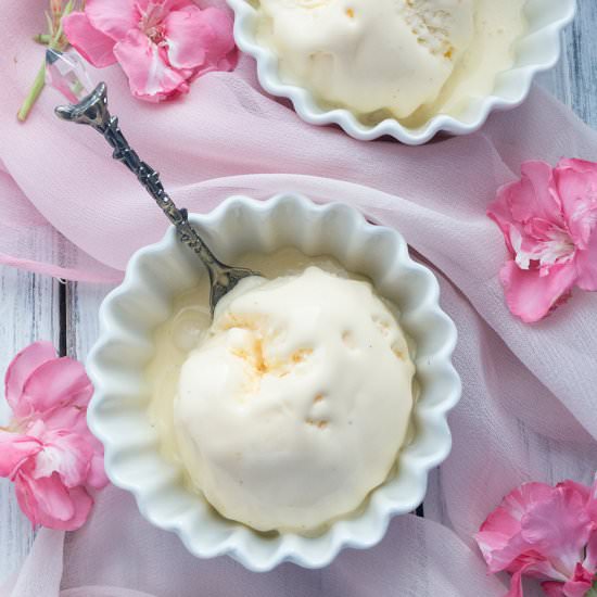 French Vanilla Ice Cream - Recipe photo by Foodtasia