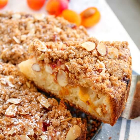 Golden Plum Coffee Cake - Recipe photo by katiebirdbakes