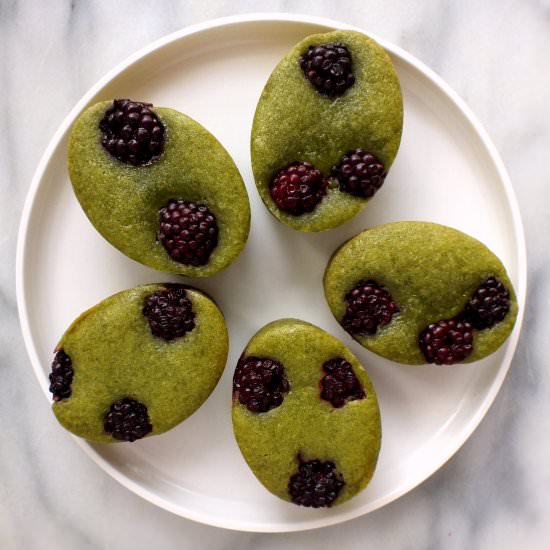 Matcha Blackberry Friands - Recipe photo by davebakes
