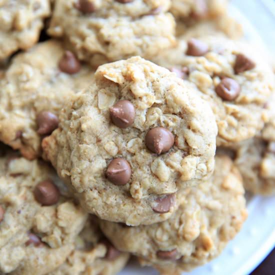 Lactation Cookies - Recipe photo by trialandeater