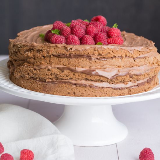 Layered Chocolate Nutella Cake - Recipe photo by ValentinasCorner