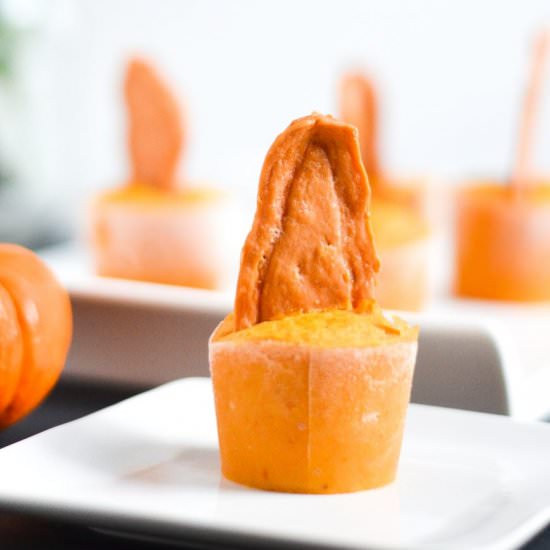 Pumpkin Chicken Jerky Pupsicles - Recipe photo by mymoderncookery