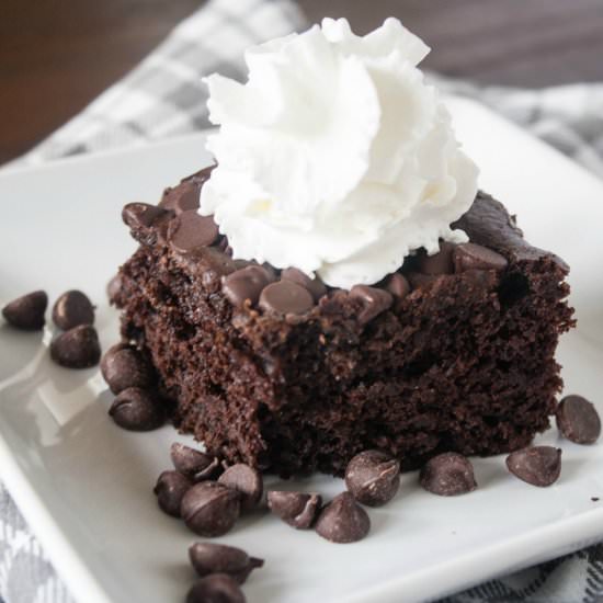 Fast Fixin' Chocolate Chip Cake - Recipe photo by asavoryfeast