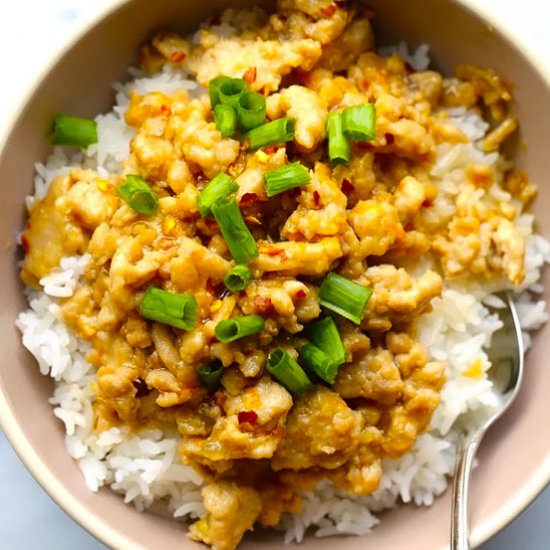 Ground Chicken with Orange Sauce - Recipe photo by five silver spoons