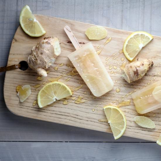 Sore Throat Popsicles - Recipe photo by sheri silver