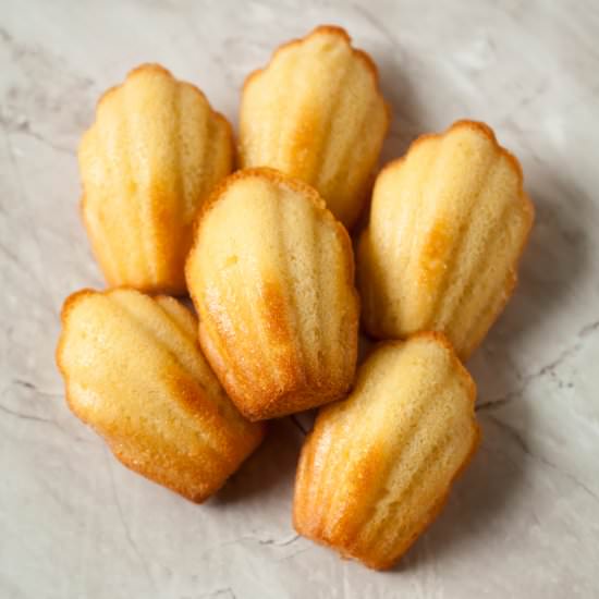 Maple Syrup Madeleines - Recipe photo by Simple Sugars