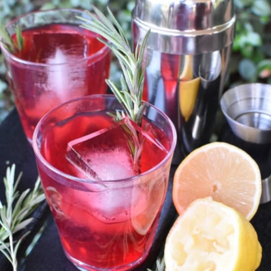 Cranberry Whiskey Sour - Recipe photo by The Spicy Apron