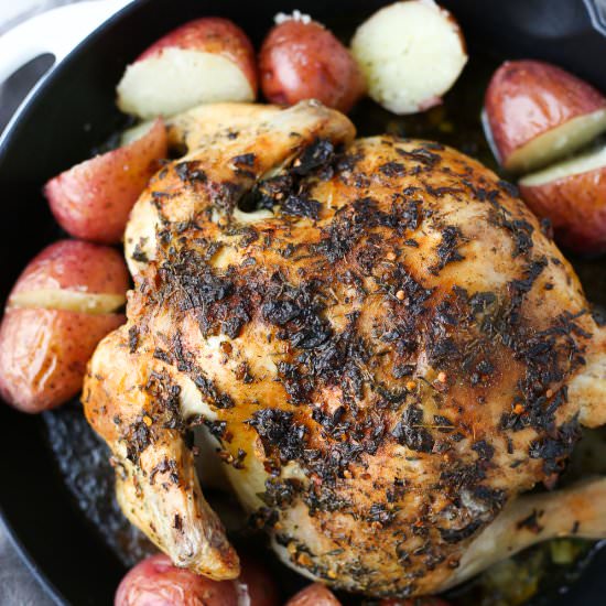 Garlic Butter & Herb Roast Chicken - Recipe photo by 3ScoopsofSugar