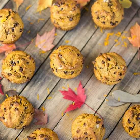 Pumpkin Chocolate Chip Muffins - Recipe photo by Kiwi and Carrot