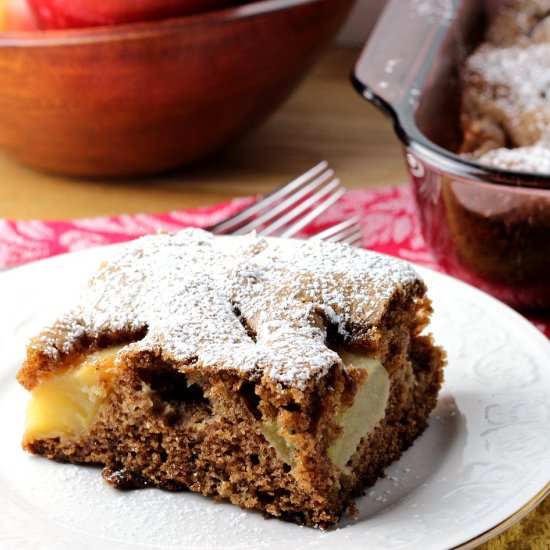 Old Fashioned Fresh Apple Cake - Recipe photo by ReneesKitchenAdventures