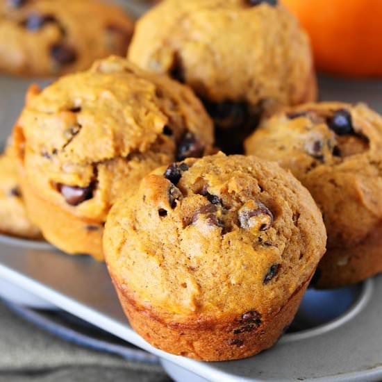 Chocolate Chip Pumpkin Muffins - Recipe photo by thekitchenismyplayground