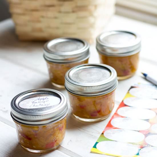 Apple Mango Chutney - Recipe photo by sugarlovespices