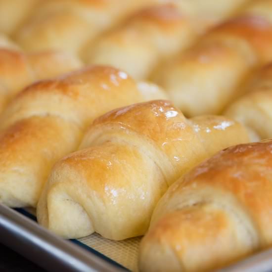 Homemade Dinner Rolls - Recipe photo by Shineshka