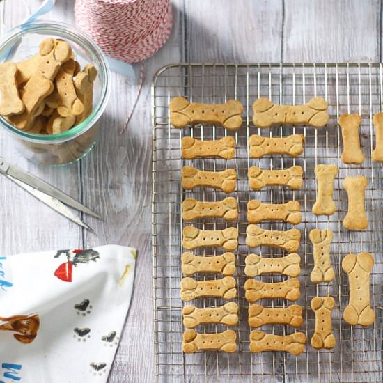 "Pumpkin Pie" Buckwheat Dog Treats - Recipe photo by Lila Ruth Grain Free