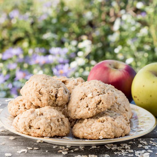 Apple Cinnamon Oatmeal Cookies - Recipe photo by mywifecancook