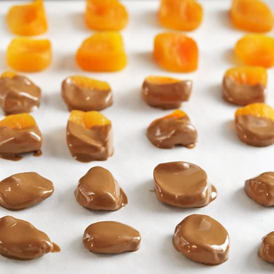 Chocolate Covered Apricots - Recipe photo by dieTTaste