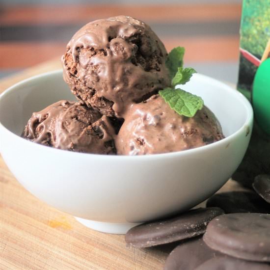 Thin Mint Ice Cream - Recipe photo by sweetsaura