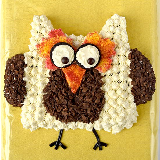 Owl Cut-Up Cake - Recipe photo by vintagekitty
