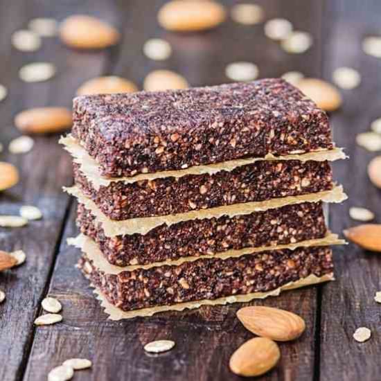 Pemmican Protein Bar - Recipe photo by MotherEarthNewsAndFriends