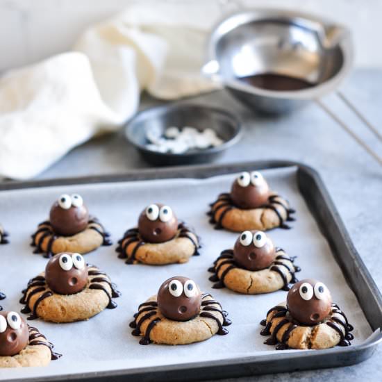 Peanut Butter Spider Cookies - Recipe photo by eat, little bird