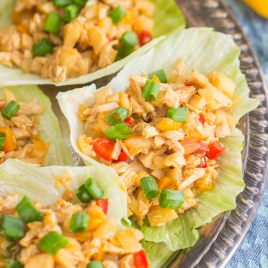 Chicken Lettuce Wraps - Recipe photo by thegoldlininggirl