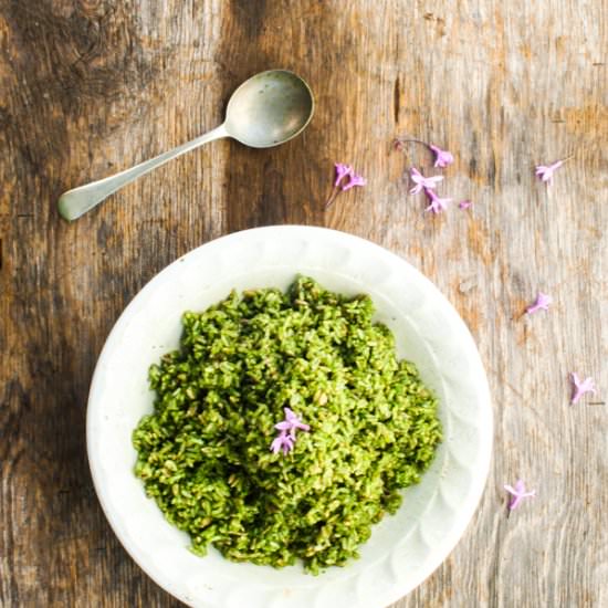 Nutty Rice with Kale Pesto - Recipe photo by rebelskitchen