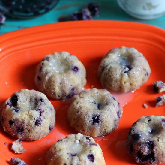 Wild Blueberry Mini Cakes - Recipe photo by AmyGorinNutrition