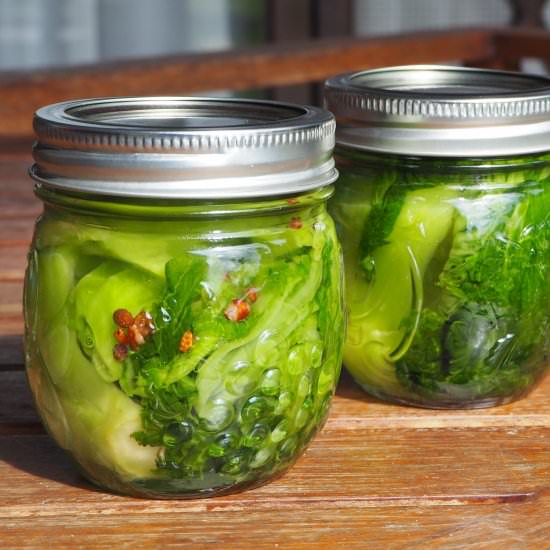 Pickled Chinese Mustard Greens - Recipe photo by Praewey