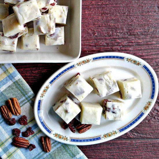 Cranberry Pecan Fudge - Recipe photo by thegardeningcook