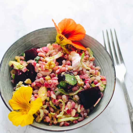 Beetroot, Barley & Cheese Salad - Recipe photo by addsomeveg