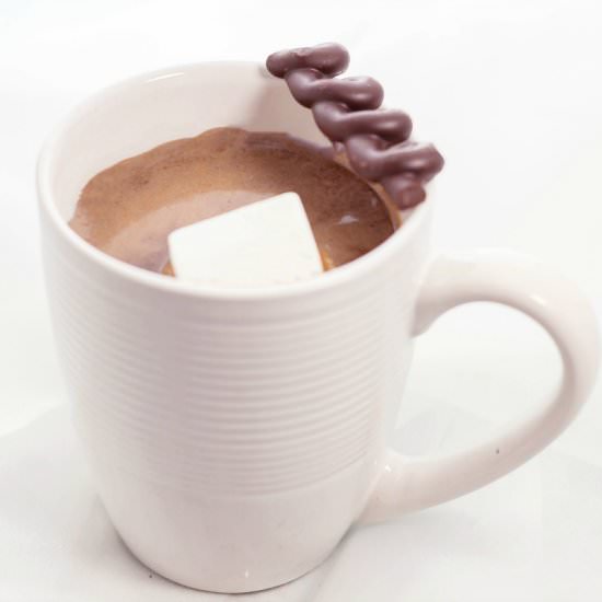 Single Serving Homemade Hot Cocoa - Recipe photo by seductioninkitchen