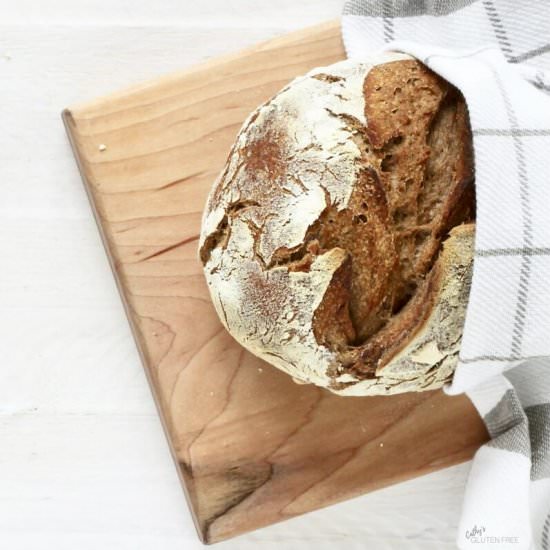Gluten Free Artisan Bread - Recipe photo by Cathys Gluten Free