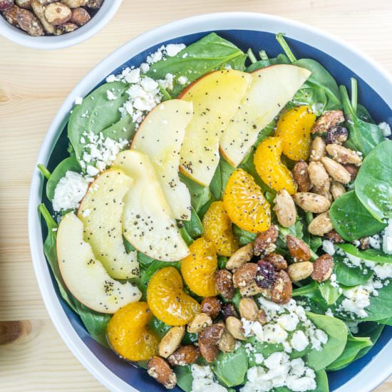 Apple Mandarin Orange Spinach Salad - Recipe photo by Babaganosh