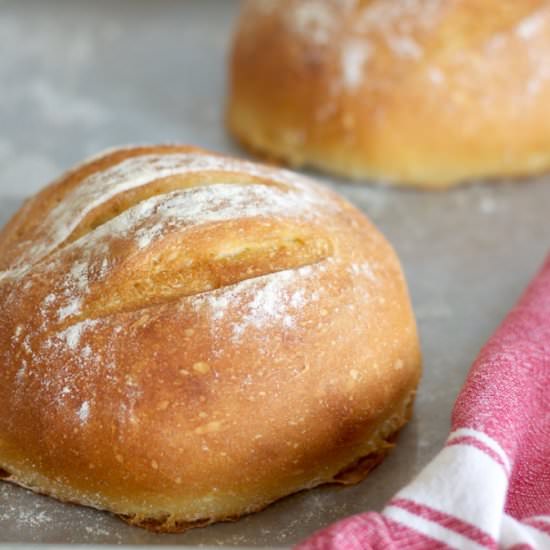 Crusty No-Knead Bread - Recipe photo by betondinner