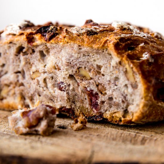 No-Knead Crusty Cranberry Nut Bread - Recipe photo by sallysbakingaddiction